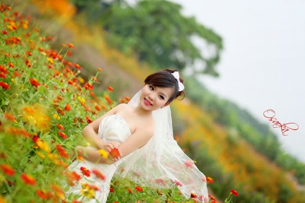 Mùa cưới gõ cửa