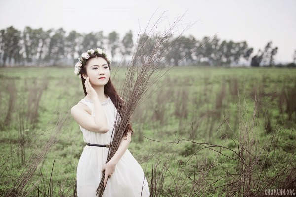 Người đẹp giữa rừng hoang