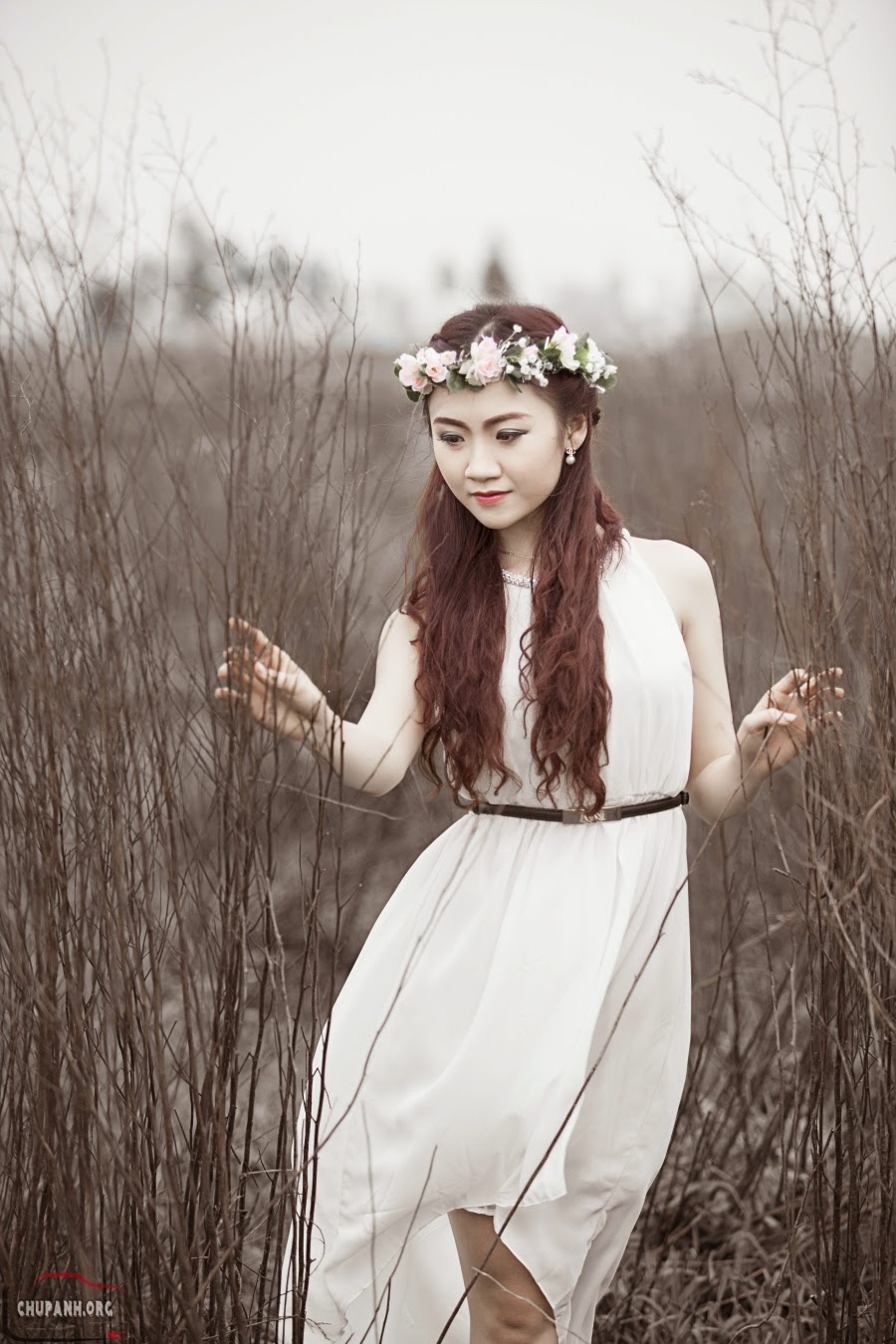 Người đẹp giữa rừng hoang