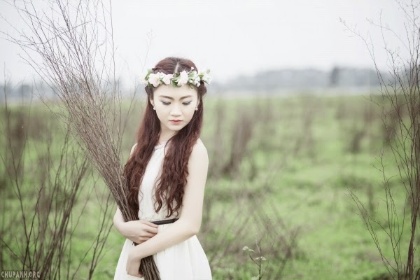 Người đẹp giữa rừng hoang