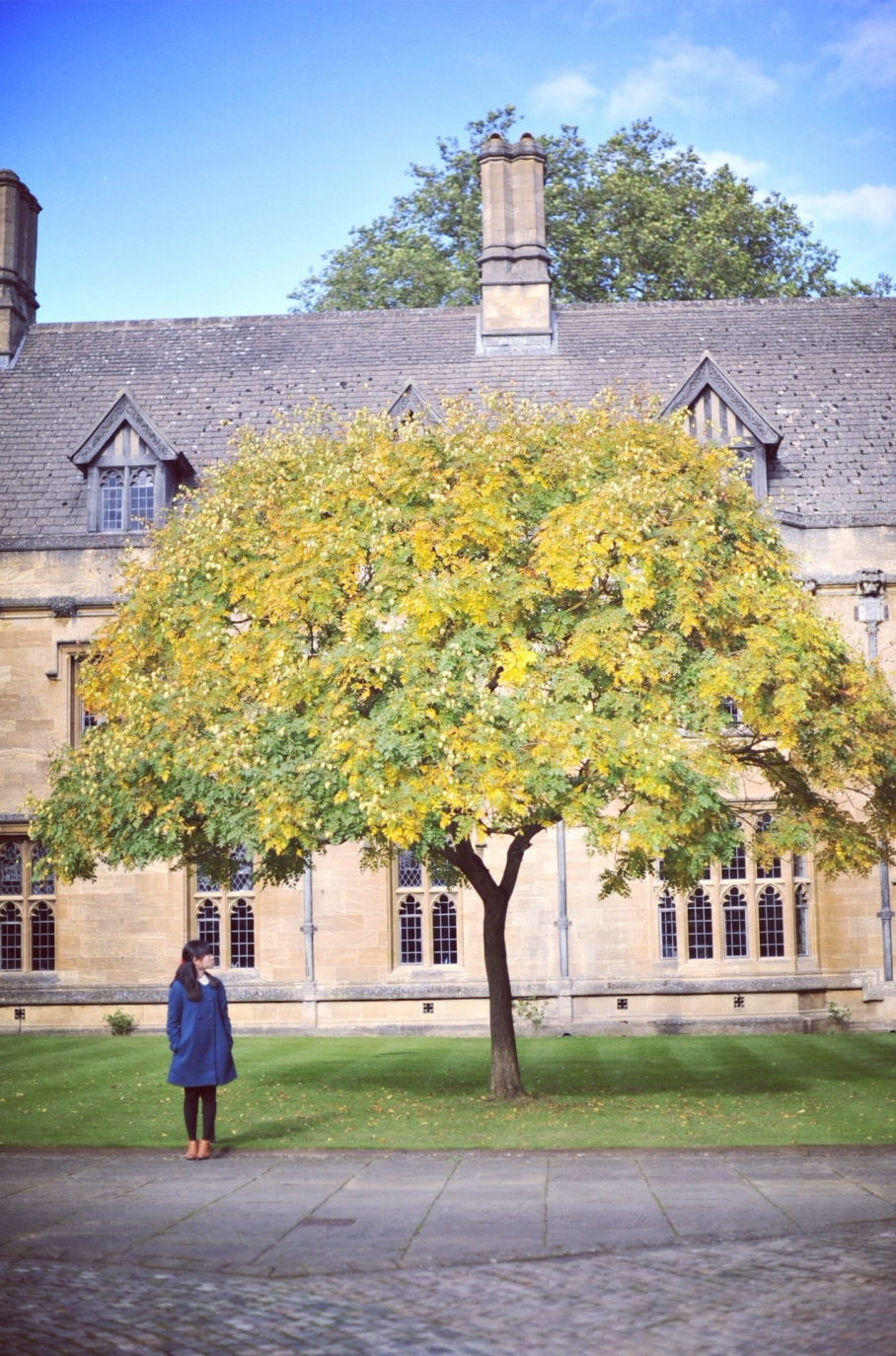 Phong cách năm mới, phơi phới nhận quà