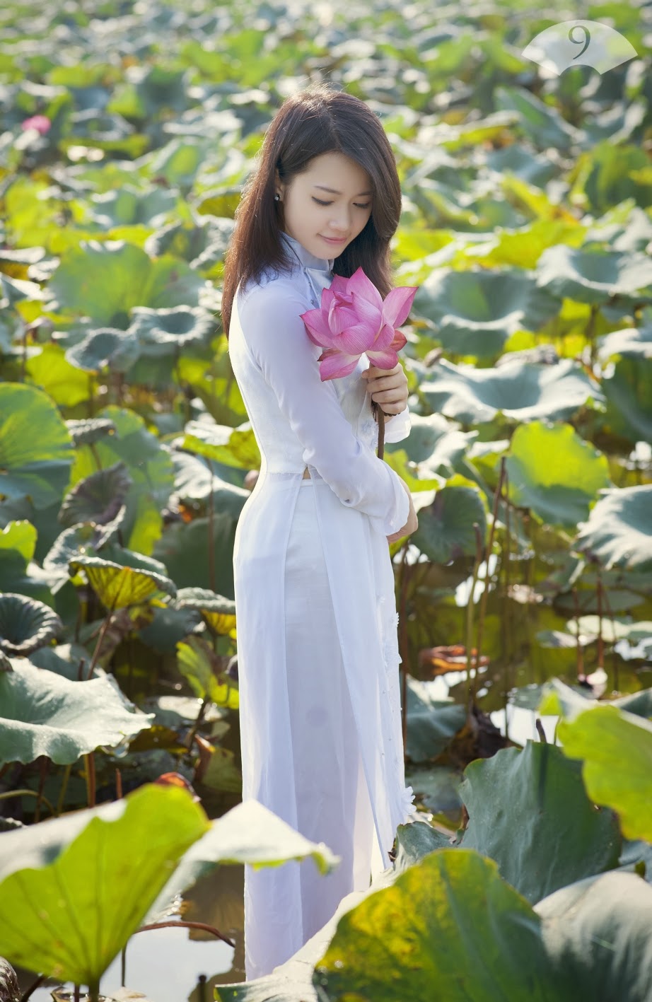 Trang Chun - Sen một bông