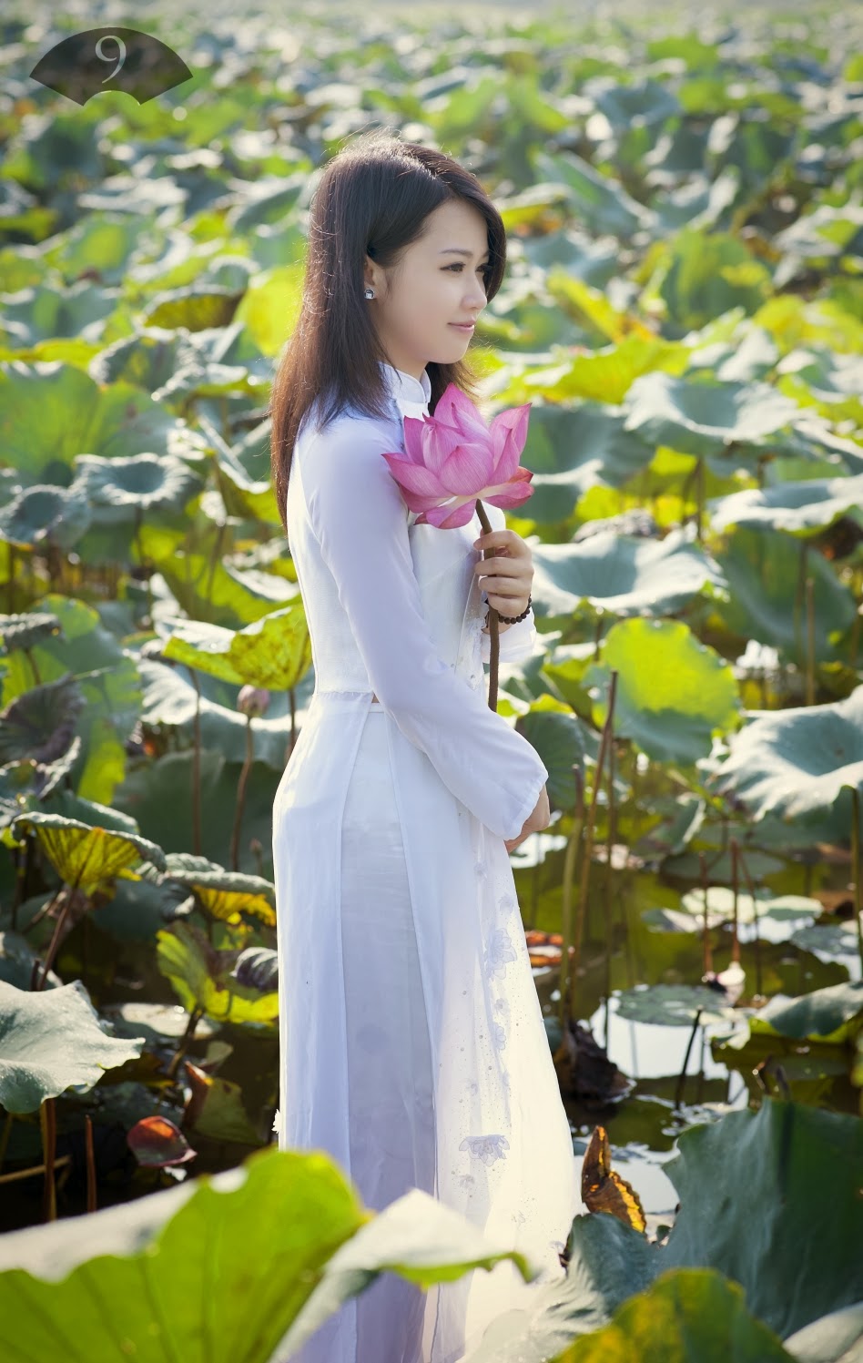 Trang Chun - Sen một bông