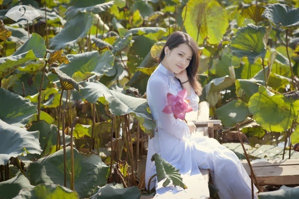 Trang Chun - Sen một bông