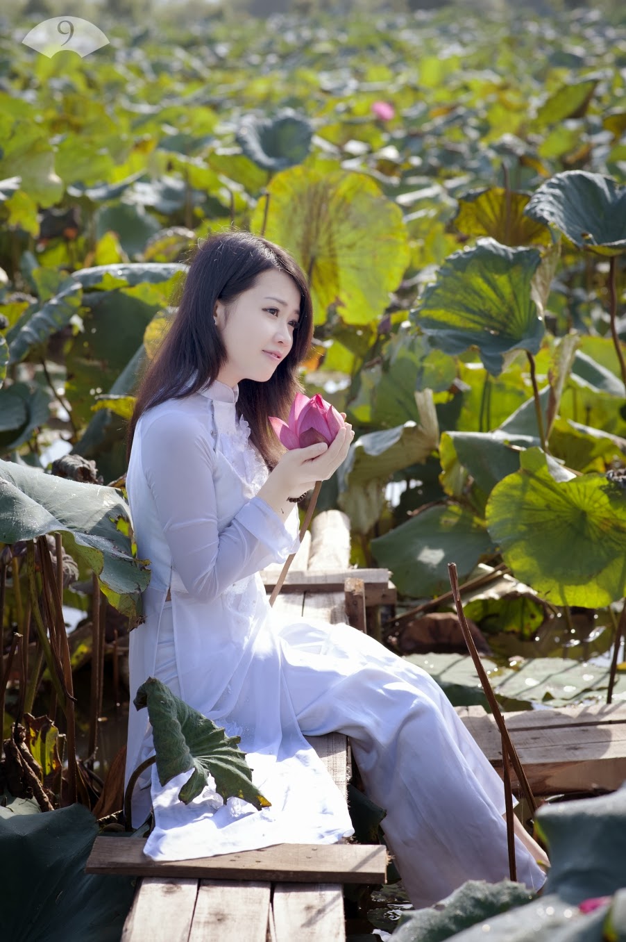 Trang Chun - Sen một bông