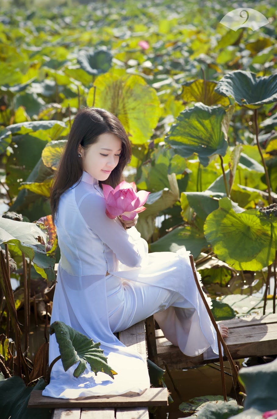 Trang Chun - Sen một bông